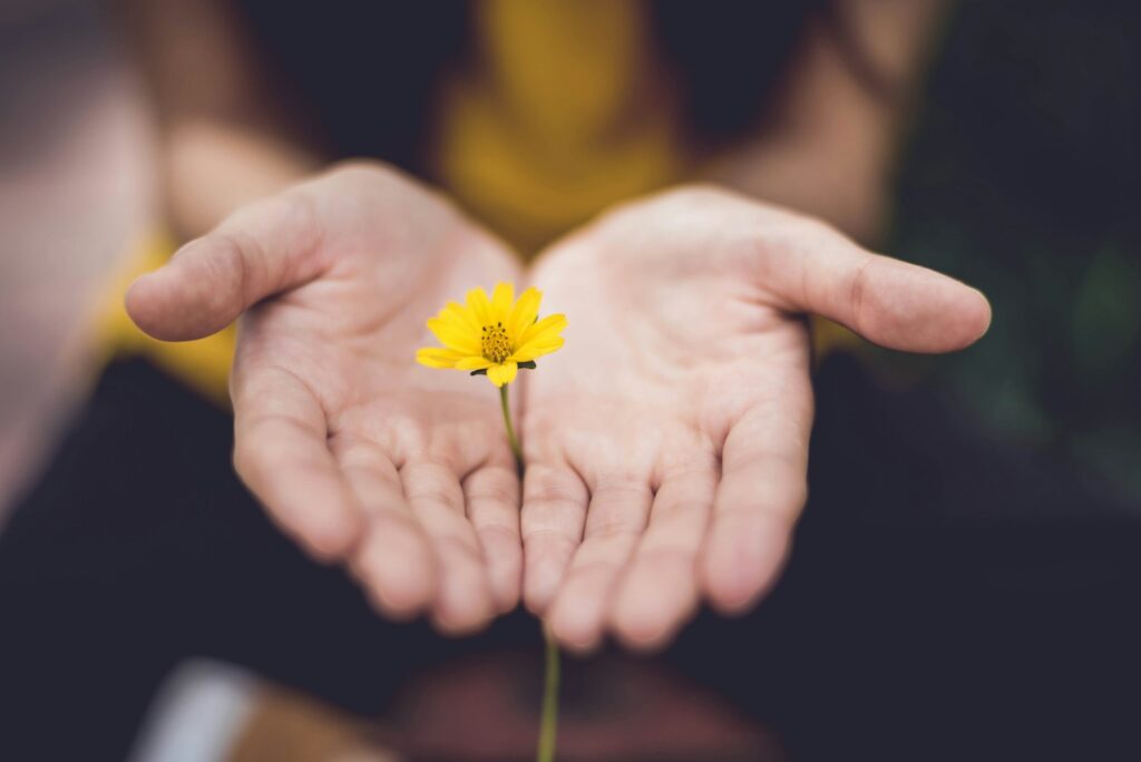 trauma wellbeing counselling